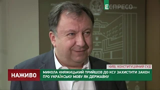 Княжицький: Розгляд функціонування державної мови в суді - це абсурд