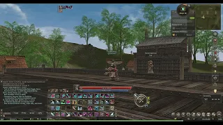 Lineage 2 Classic Giran Server Fast LVL Up From 78 To 79 1.9 kkk With Exp Scrolls