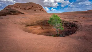 Оазисы в пустыне   Это невероятно!