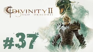 Прохождение Divinity II: Ego Draconis - Часть 37 (Пещера разбойников)