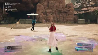 Solo Debuff Aerith (Arcane Scepter) vs Rude (Hard Mode, No Damage/Limit)