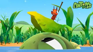 Hooked 🐸 | ANTIKS | Moonbug Kids - Funny Cartoons and Animation