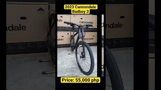 Cannondale badboy 3 price philippines
