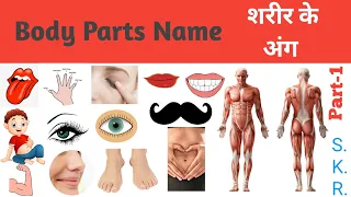 Human Body Part Name Hindi & English With Pictures/name of body part/शरीर के अंगों के नाम/Body Parts