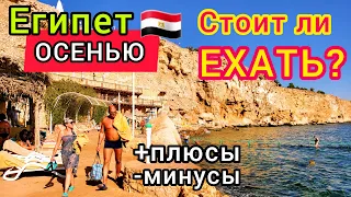 Египет ОСЕНЬЮ 🇪🇬 Стоит ли лететь на ОТДЫХ в Египте в СЕНТЯБРЕ, ОКТЯБРЕ или НОЯБРЕ. Плюсы и Минусы