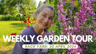 Weekly Garden Tour 30 April (backyard)