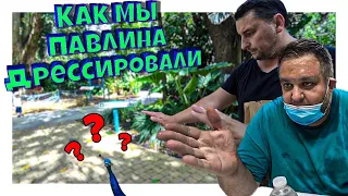 В самолете как в маршрутке / Спалил плиту / Бездельники бродят по МАЙАМИ /