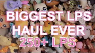 Littlest Pet Shop: My Biggest Haul Ever! 250 LPS