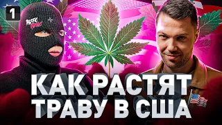 ⚠️ ГРОВЕР ИЗ ШТАТОВ: КАК РАСТЯТ ТРАВУ В США И ЛЕГКАЯ ЛИ ЭТО РАБОТА?!