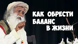 Как обрести баланс если жизнь сводит с ума? Садхгуру видео на Русском