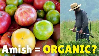 3 Reasons Why Amish Food ISN'T Organic