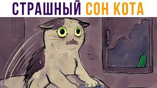 СТРАШНЫЙ СОН КОТА))) Приколы с котами | Мемозг #550