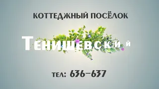 Посёлок Тенишевский