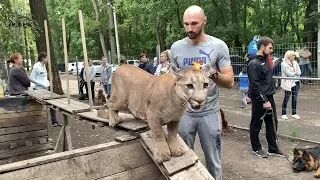 Снова в школу. Пума Месси третьеклассник.