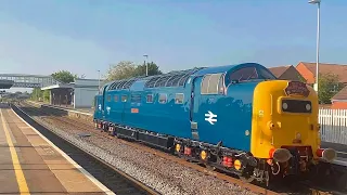 Deltic No.55009 ‘Alycidon’ passes Bridgwater working 0Z55 Barrow Hill to Bishops Lydeard on 07/06/23