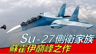 【Su-27側衛家族】蘇霍伊的巔峰之作，蘇聯最成功的最有代表性的飛機系列，巴倫支海手術刀主角，作為一款軍事武器竟獲得了藝術設計獎，Su-27，Su-30，Su-33，Su-35