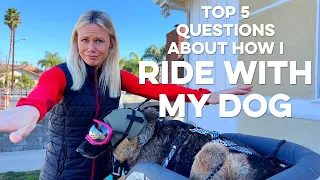Everyone asks me this! | Top 5 questions about RIDING WITH MY DOG