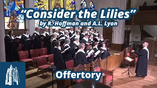 "Consider the Lilies" by R. Hoffman and A.L. Lyon - Offertory - [5/26/24]