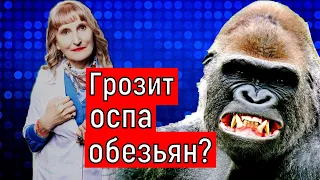 Грозит ли России Оспа Обезьян?(оспа обезьян последние новости)