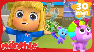 Do The Magic Pet Have Talent? 🌟 Morphle Kids Cartoons | Videos for Kids | 1HR Compilation