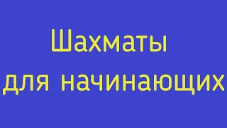 Шахматы.Шахматы для начинающих.Типичная ошибка игра пешками, а не фигурами! Преимущество в развитии.