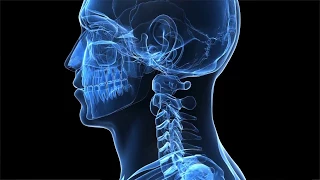 Head and Neck Cancer -- An Introduction