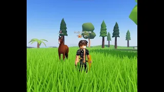 Des nouveaux chevaux sont arrivé sur le jeu Îles Cheval Sauvage les akhal teke (roblox)