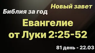 Библия за год |  день 81 | Евангелие от Луки 2:25-52 | план чтения Библии 2022