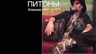 ПЕСНЯ - РЕАЛЬНАЯ ИСТОРИЯ | Владимир Кант - ПИТОНЫ