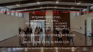 SINGLE LIFE Intermediate Line Dance demo
