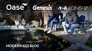 Modern Koi Blog #5854 - Jörgs umgebauter 26.000 Liter Koiteich nach Leckage