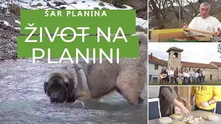 ŽIVOT ljudi na ŠAR planini | Planina je način na koji se živi život | PUTOVANJE BEZ GRANICA S2Ep3