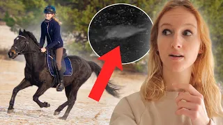 DIT ROOFDIER LIEP ‘S NACHTS BIJ DE PAARDEN 😬 + KEIHARD GALOPPEREN IN DE DUINEN! | Daphne draaft door