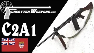 C2A1: Canada's Squad Automatic FAL