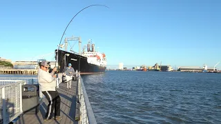 This is the BEST FISHING PIER in Galveston TX