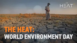 The Heat: World Environment Day