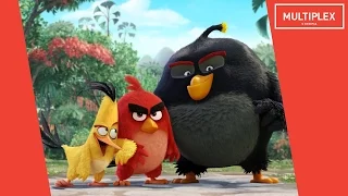 Angry Birds у кіно [трейлер]