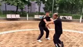 推手 push hand