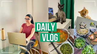 Daily Vlog | Tundem pisicile, posibila alergie, gatim retete de dulce si de post, mini haul Kaufland