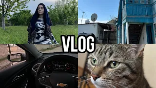 VLOG Из деревни ☘️ Дурачек опять потерялся ☘️ Ayka Emilly