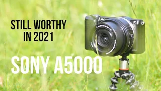 SONY A5000 STILL WORTHY IN 2021