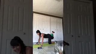 Kitty Photobombs Owner's Yoga Session || ViralHog