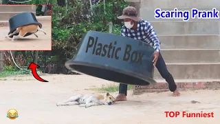 Wow !! Scaring Prank Big Plastic Box vs Sleeping Dog | Top Funniest Prank in 2021