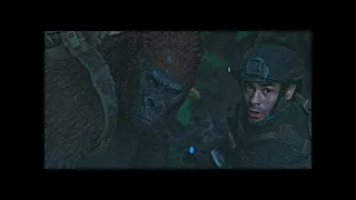 Opening Battle Scene | War for the Planet of the Apes (2017)#LOWI