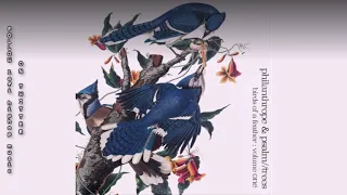 Philanthrope & Psalm Trees - New York - Birds Of A Feather [beattape]