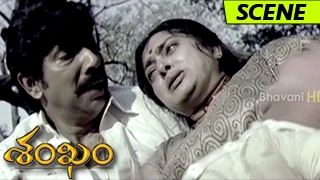 Gopichand Learns the Truth of Satyaraj || Shankam Movie Scenes