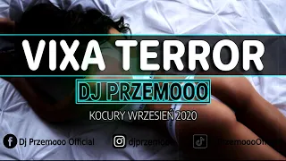 NAJLEPSZA VIXA DO AUTA 🚗 KOCURY 😍 WRZESIEŃ 2020 ❤️ VIXA TERROR 💣☢️ Dj Przemooo