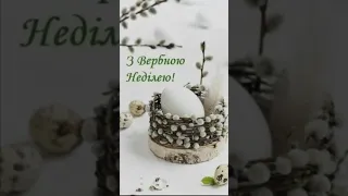 Вітаю з Вербною Неділею!🌿