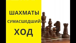 Шахматы. СУМАСШЕДШИЙ ХОД!  Победа!  бесплатные. играющие. онлайн