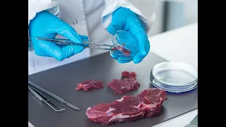 Ветеринарно-санитарная экспертиза мяса
